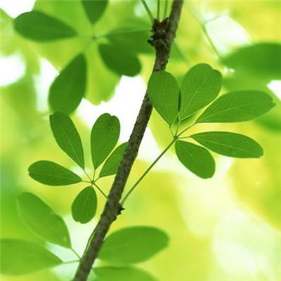 时空猎人优趣光速版本下载